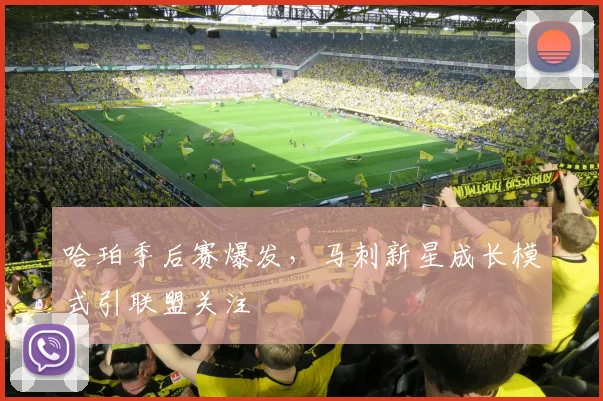 哈珀季后赛爆发，马刺新星成长模式引联盟关注