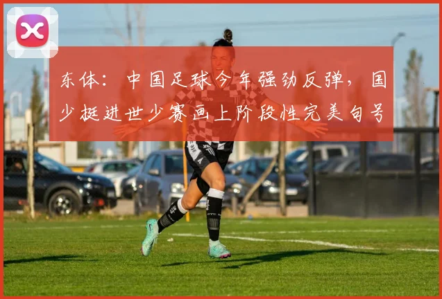 东体：中国足球今年强劲反弹，国少挺进世少赛画上阶段性完美句号