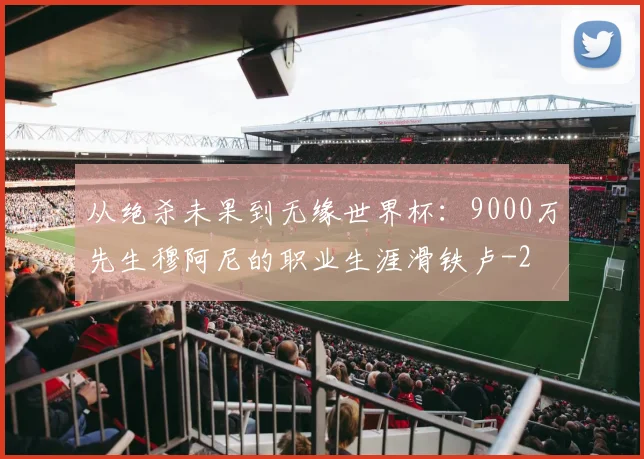 从绝杀未果到无缘世界杯：9000万先生穆阿尼的职业生涯滑铁卢